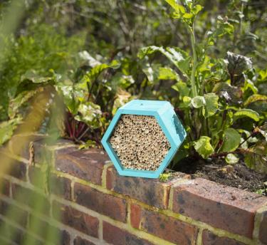 A view of an insect hotel on a brick wall